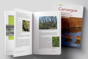 Édition guide naturaliste Camargue pour Quae